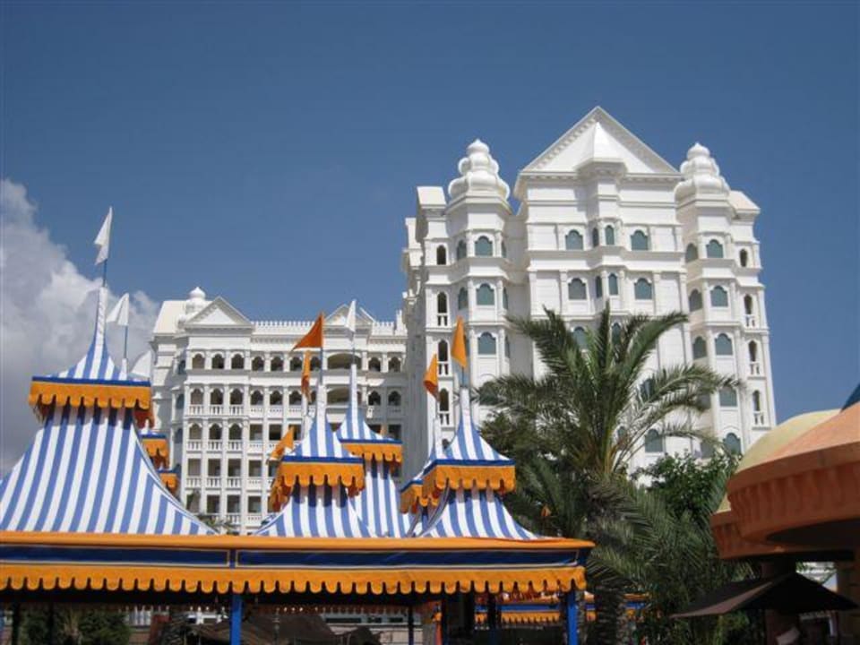 Kamely word Kamelya Aishen Club