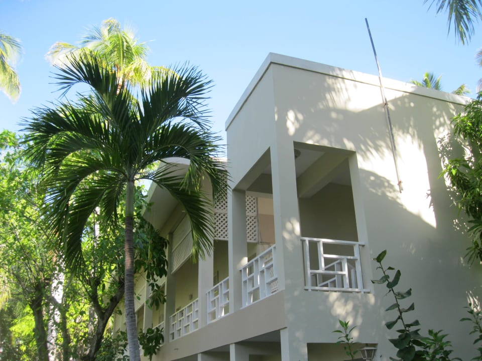 Palme mit Haus Vista Sol Punta Cana