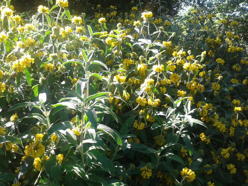 Gartenanlage Hotel Campastrello