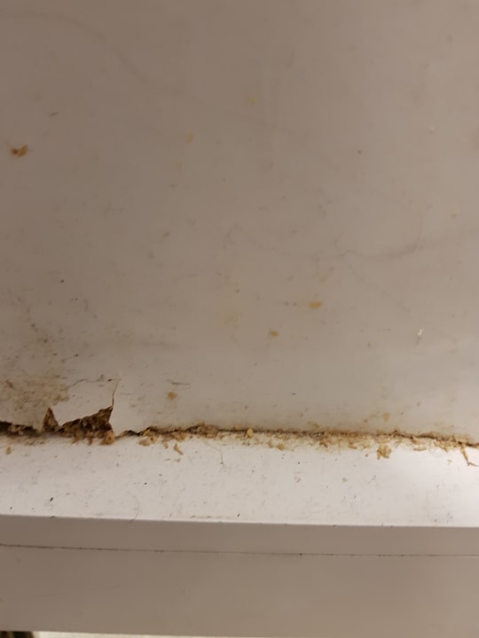 Trennwand Toilette neben Hotelbar Monopol