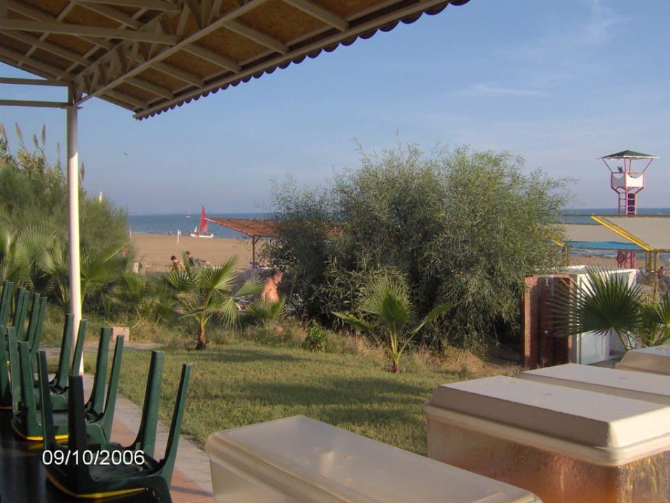 Strand vom Orfeus Park Hotel Hotel Orfeus Park