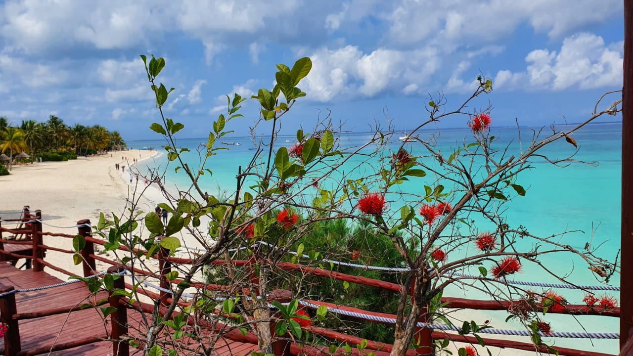 Ausblick Hotel Riu Palace Zanzibar