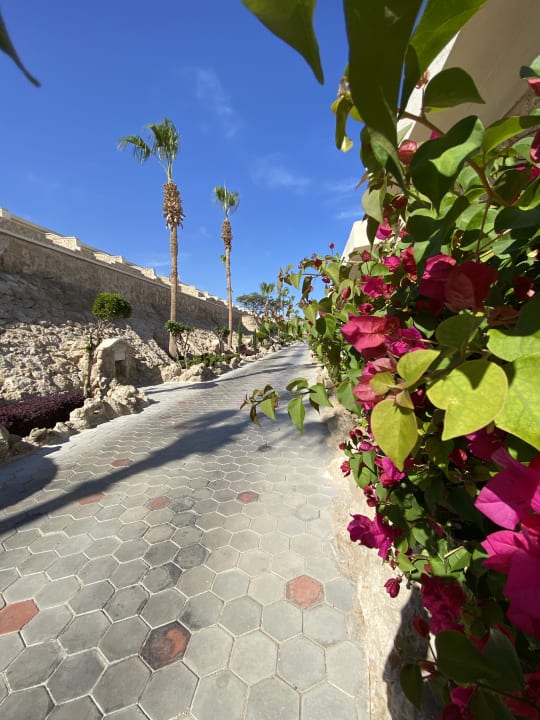 Außenansicht Pickalbatros Citadel Resort