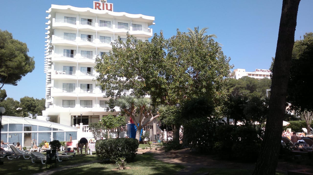 Hotel  Hotel Riu Festival