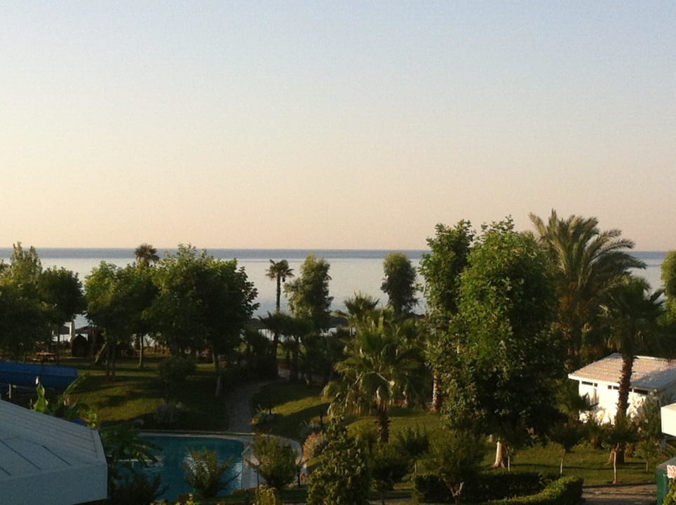 Mein Ausblick am frühen Morgen! Herrlich! Le Jardin Resort