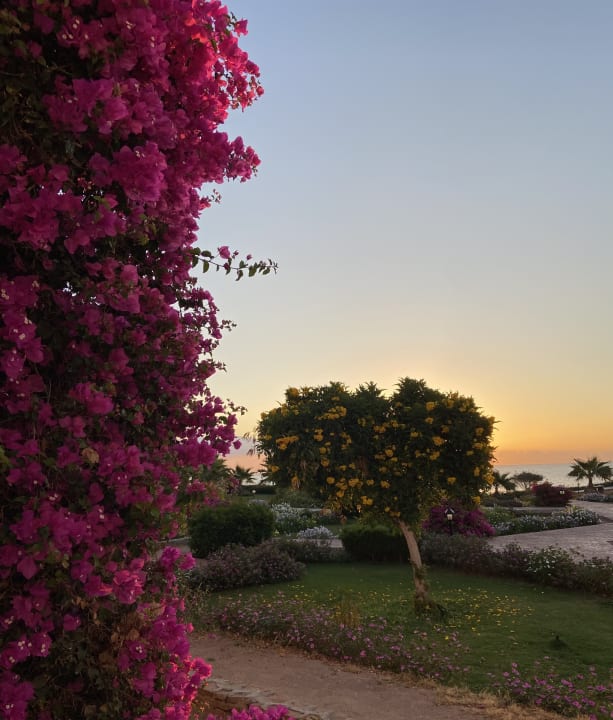 Gartenanlage Three Corners Equinox Beach Resort