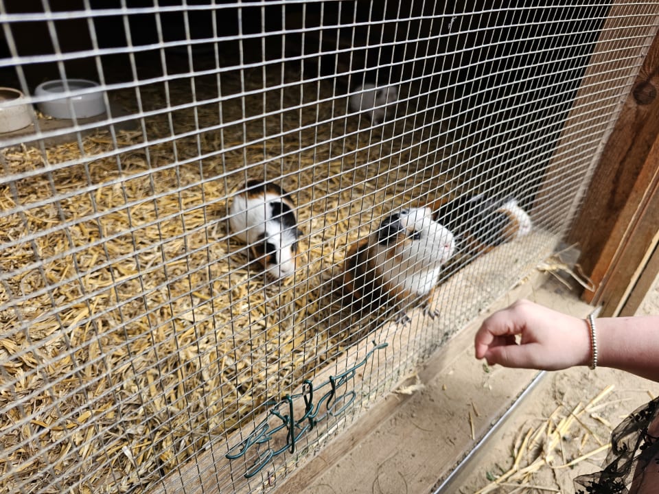 Sport & Freizeit Familotel Family Club Harz