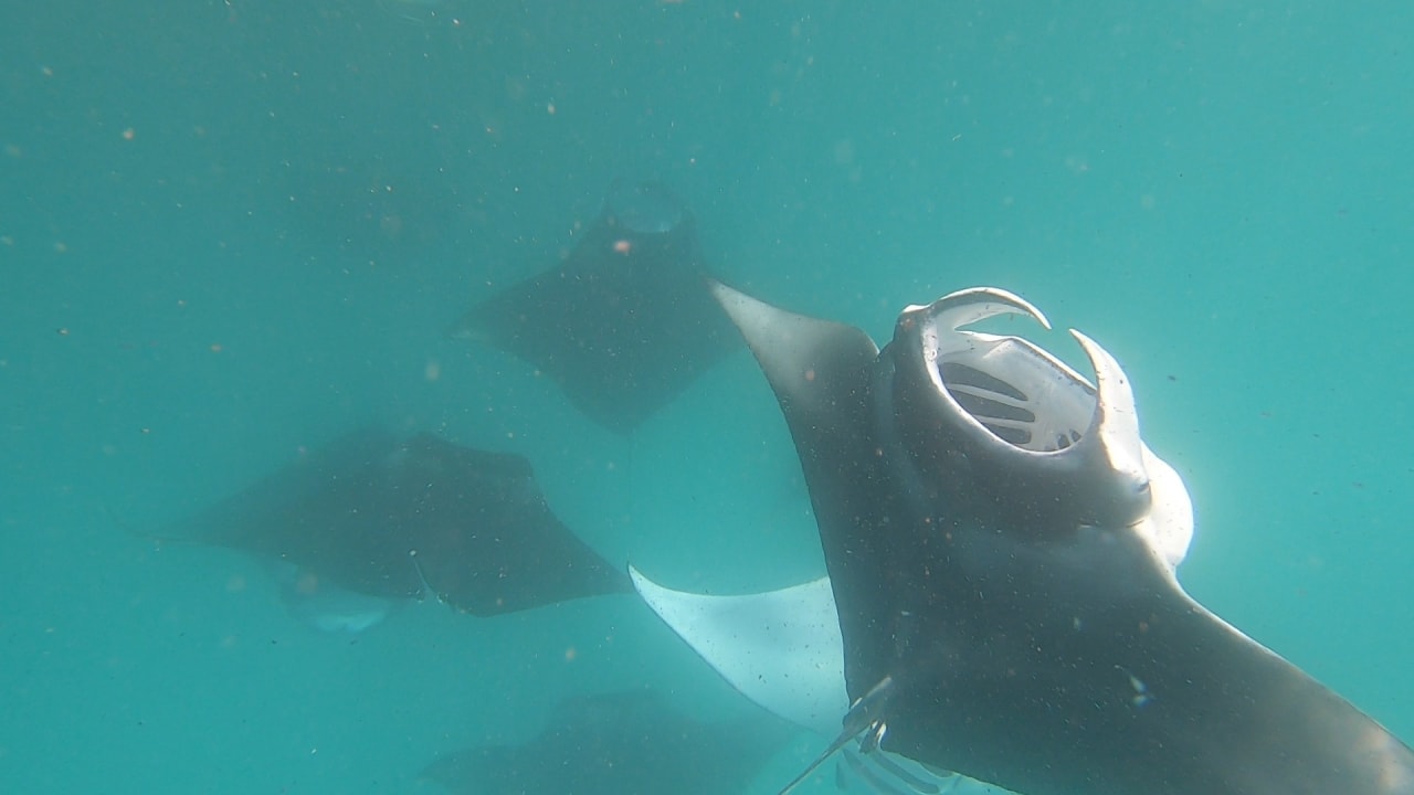 Sport & Freizeit NH Collection Maldives Reethi Resort