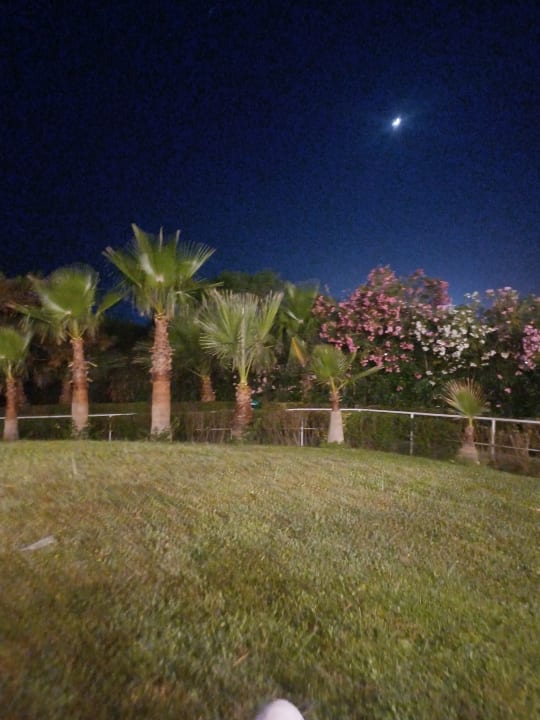 Gartenanlage allsun Numa Club Side