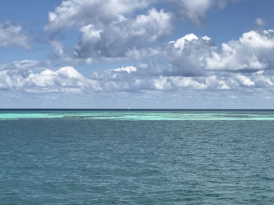 Ausblick Dreams La Romana Resort & Spa