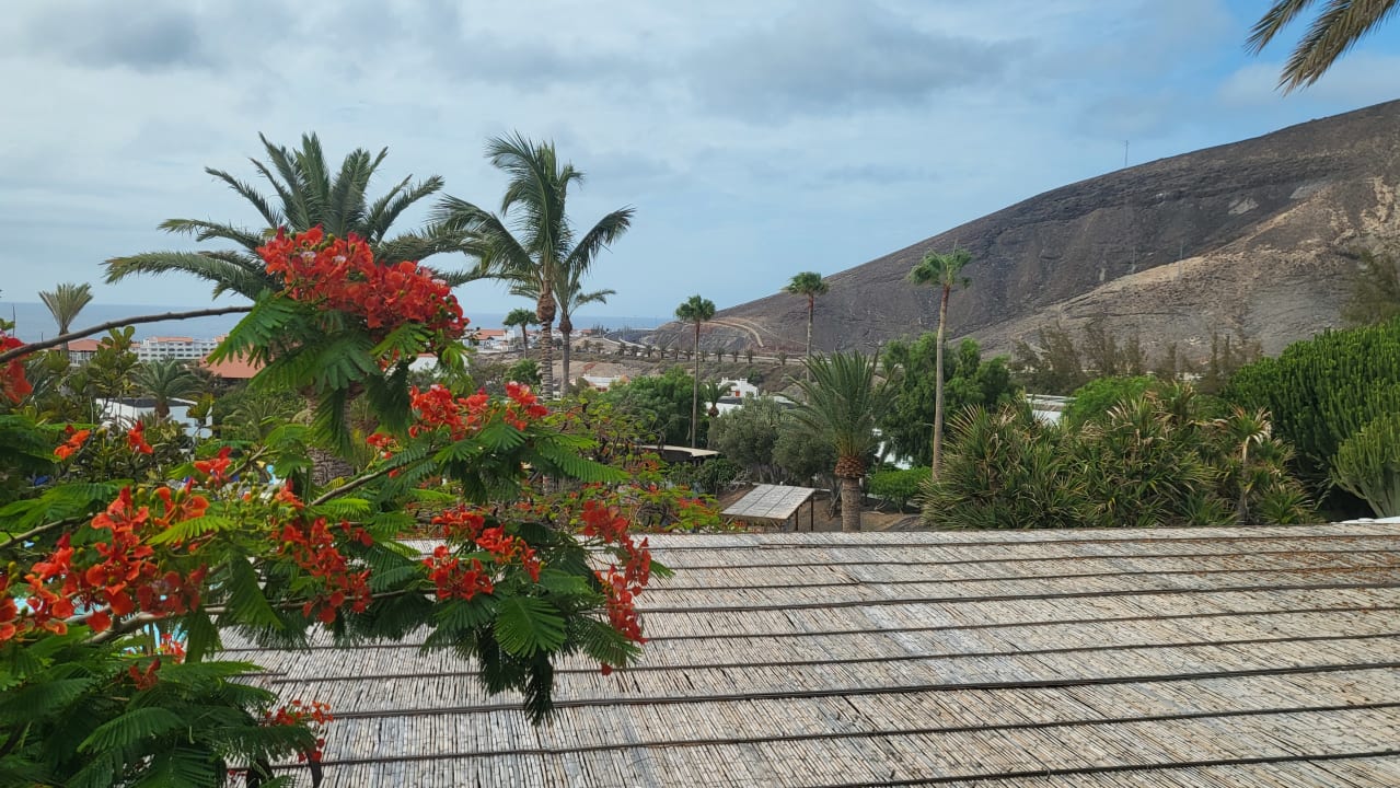 Sonstiges allsun App.-Hotel Esquinzo Beach