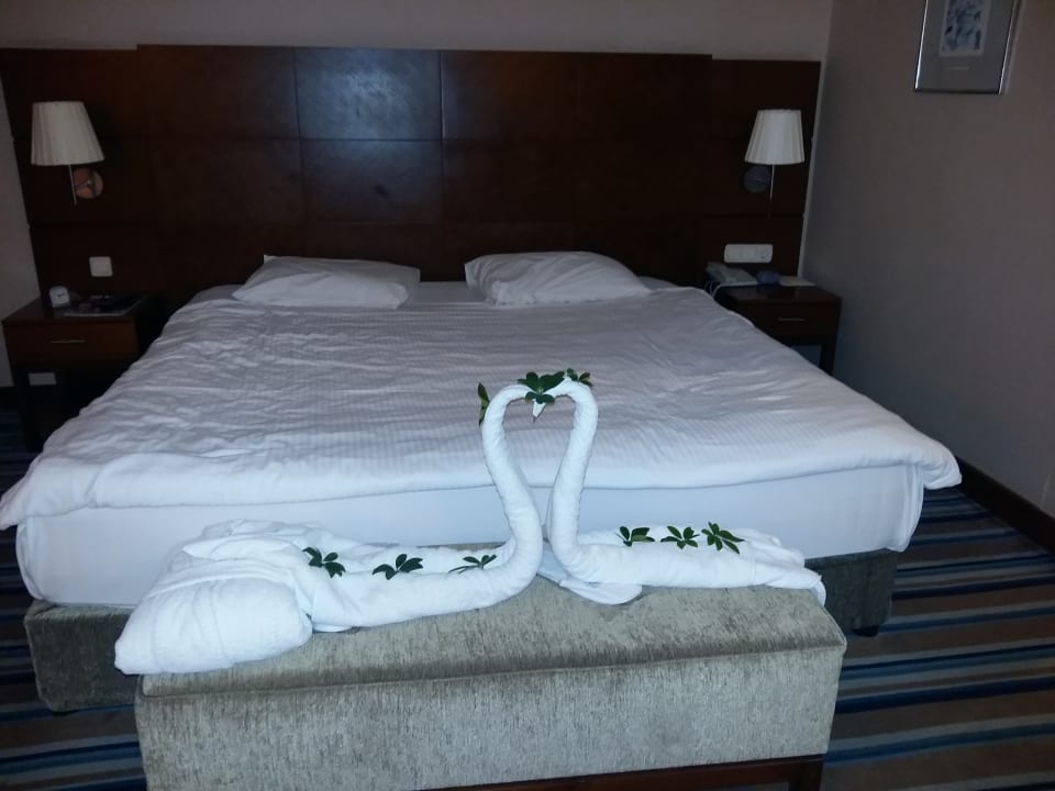 Zimmer Hotel Pine Bay Holiday Resort