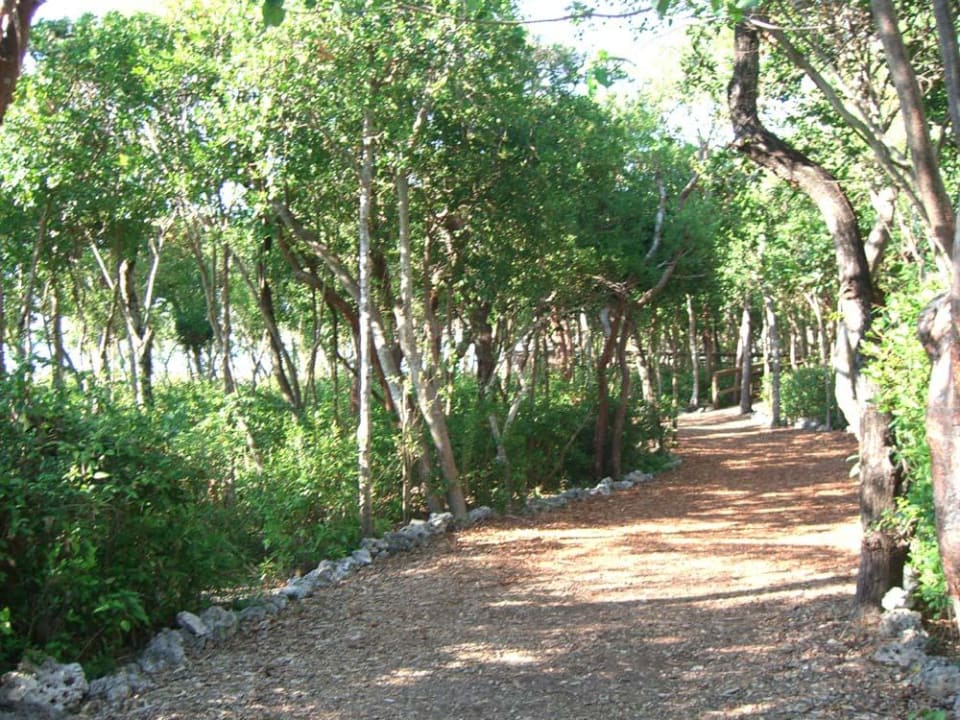 Ein toller Garten Hotel Hilton Key Largo Grande Resort