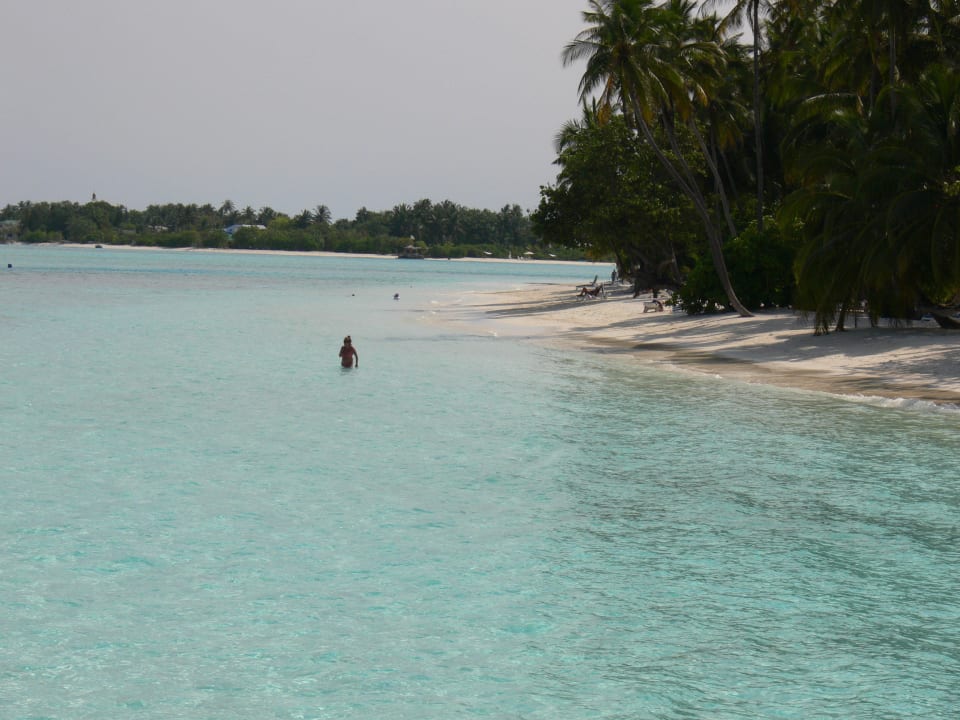 Meeru Island Resort Meeru Maldives Resort Island