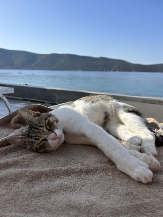 Sport & Freizeit TUI MAGIC LIFE Bodrum - Adult Only (16+)