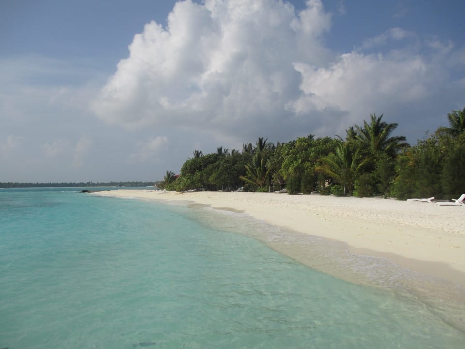 Vom Anlegesteg li Seite Summer Island Maldives