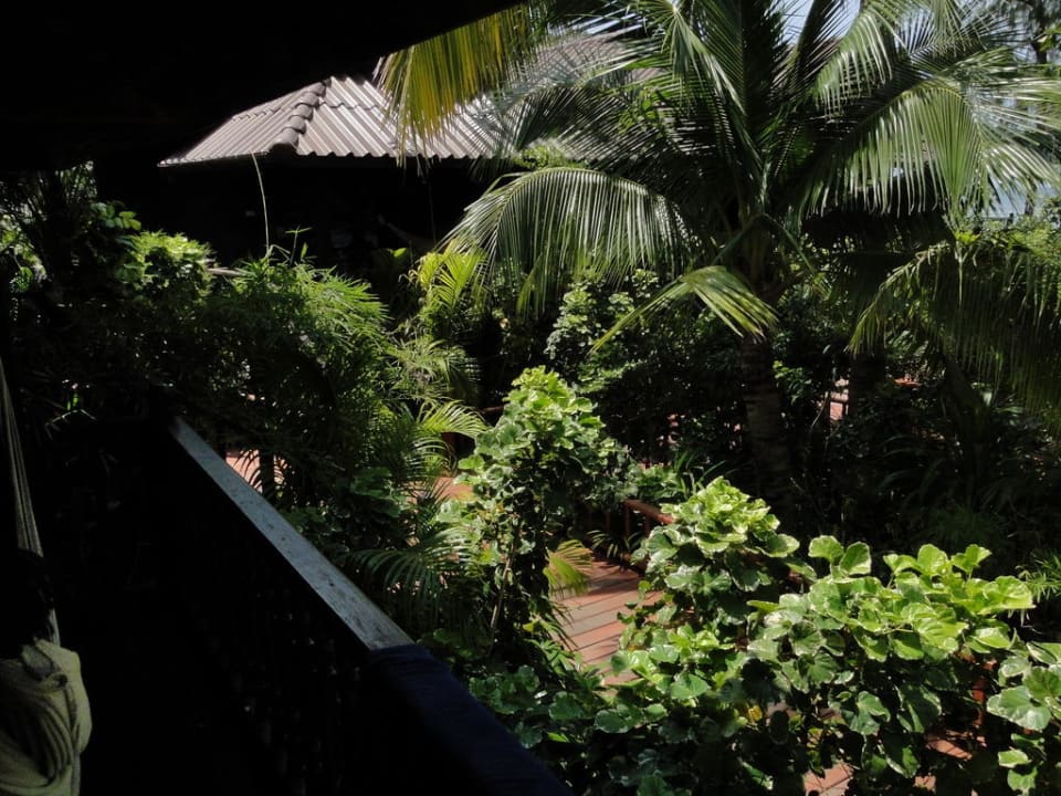 Blick vom Bungalow nach links Hotel Salad Hut