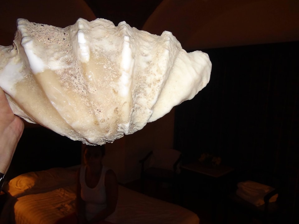 Trofeum Three Corners Sea Beach Resort