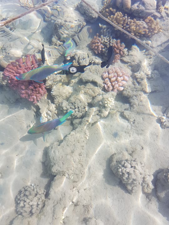 Sport & Freizeit Grand Waterworld Makadi & Family Star Makadi