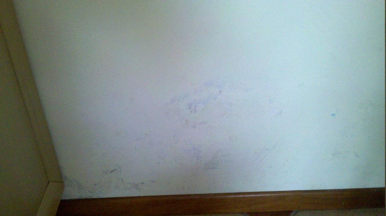 Schimmel Residence Eden