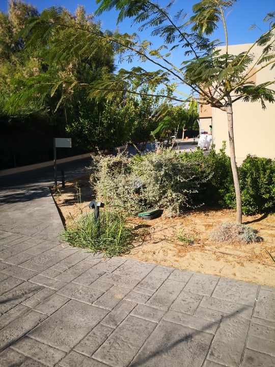 Gartenanlage Astir Odysseus Kos Resort & Spa