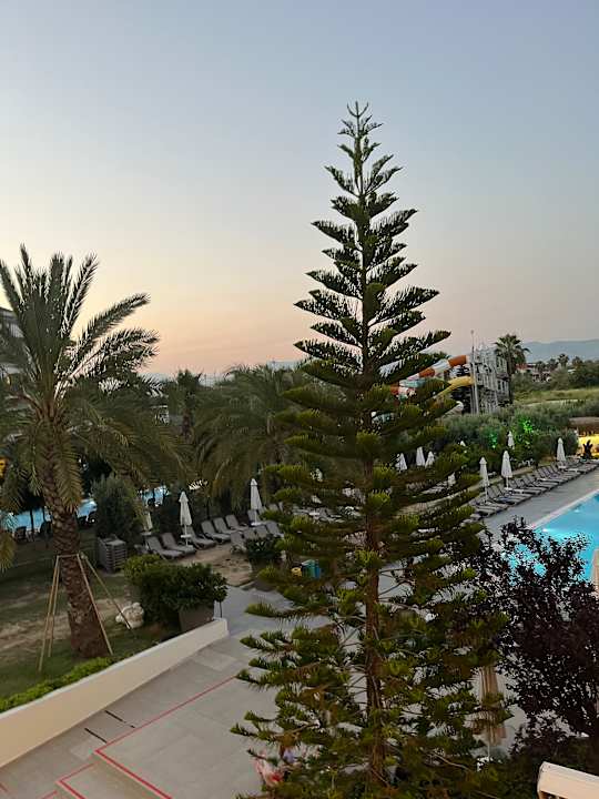 Pool Riolavitas Resort & Spa