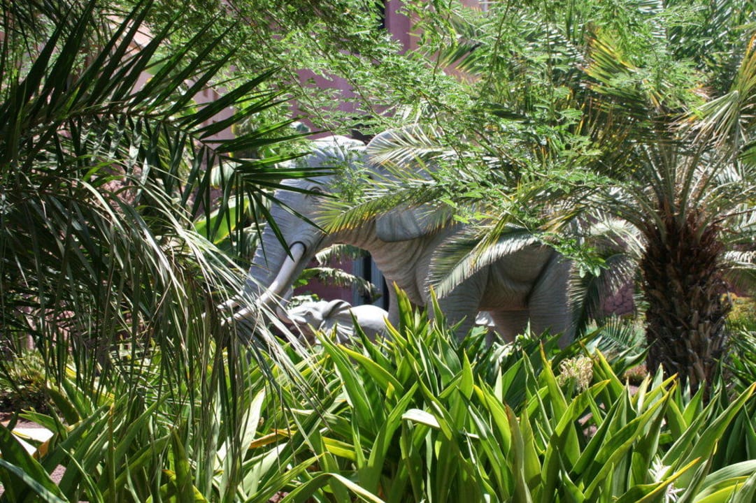 Wilde Tiere mitten in der Gartenanlage Lopesan Baobab Resort