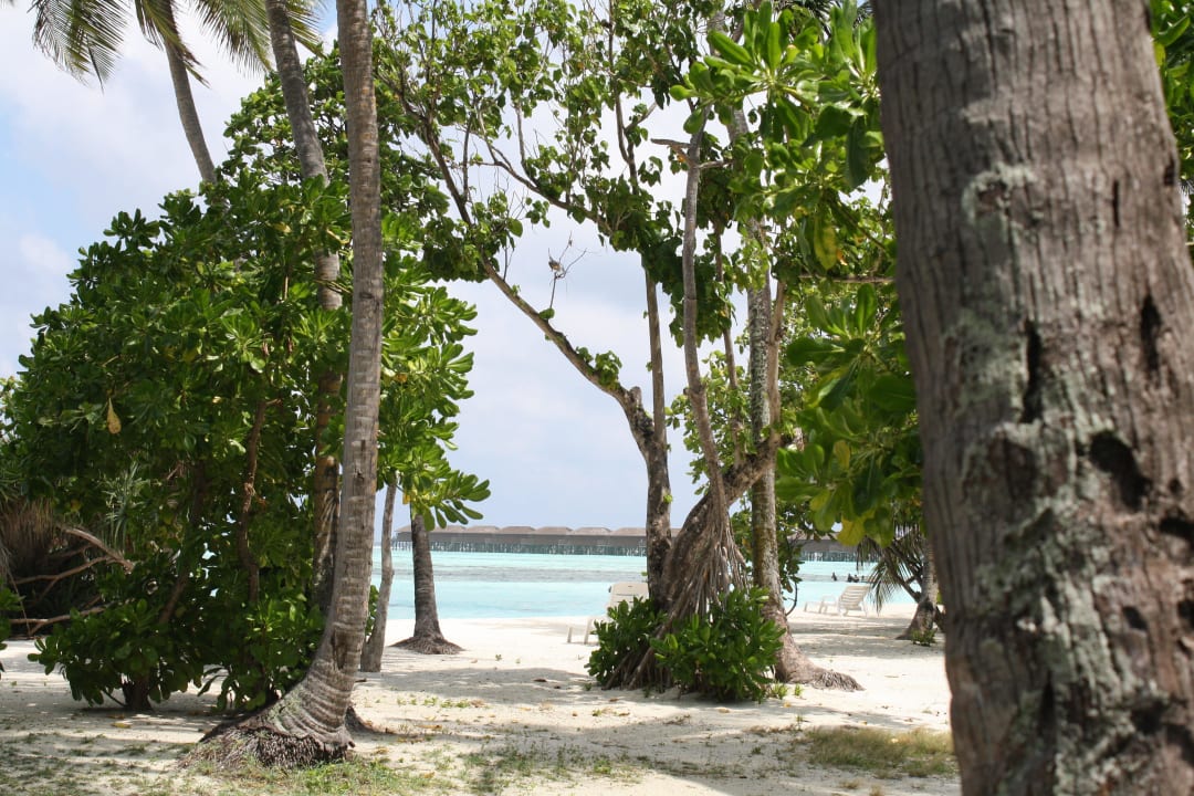 Oststrand Meeru Maldives Resort Island