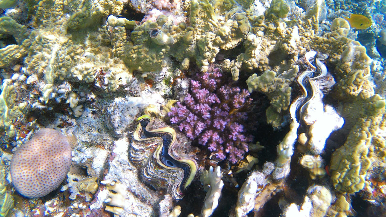 Sport & Freizeit Makadi Spa - Adults only