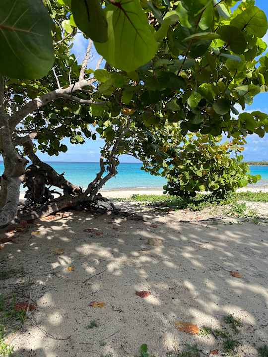 Strand Iberostar Coral Holguín