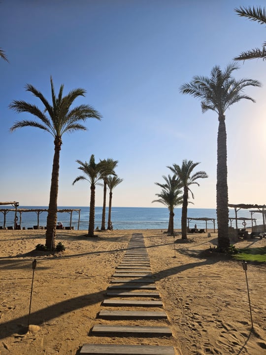 Strand Steigenberger Resort Alaya Marsa Alam - Red Sea - Adults only