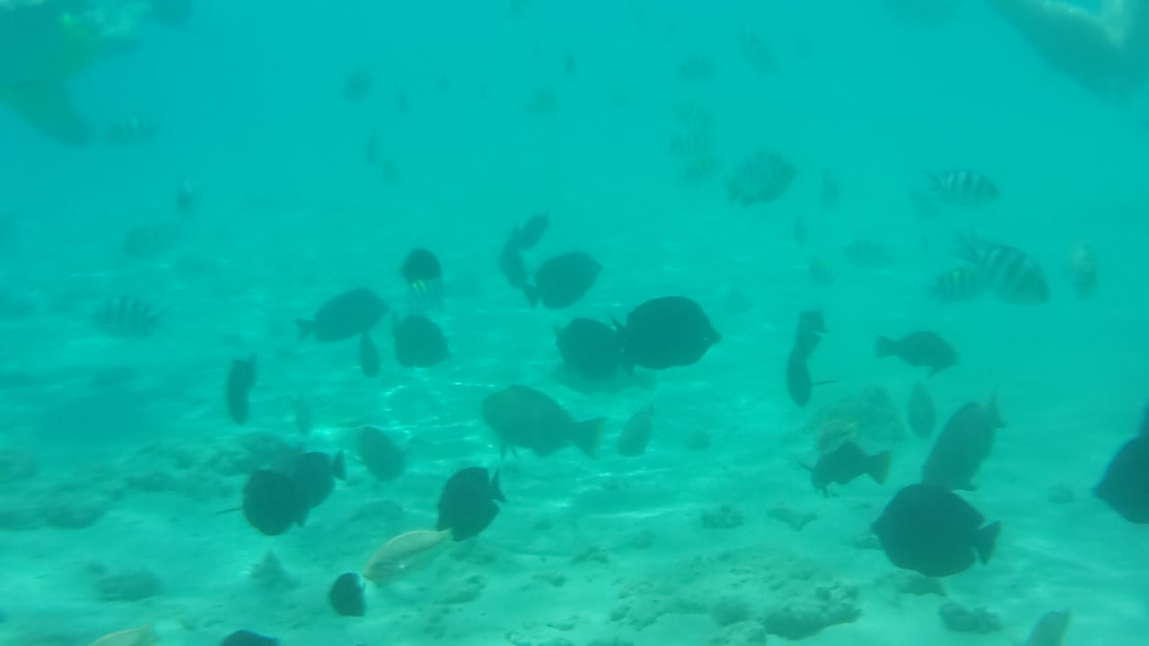 Strand Jaz Makadi Oasis Resort