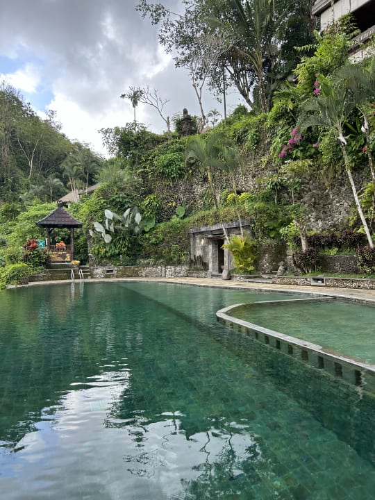 Pool Hotel The Royal Pita Maha