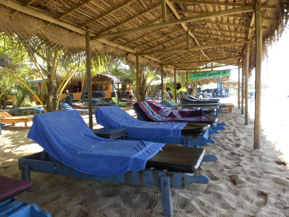 Liegen unterm Sonnendach Palm Beach Guesthouse