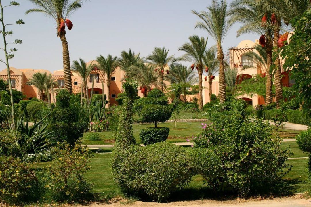 Ogród Jaz Makadi Oasis Resort