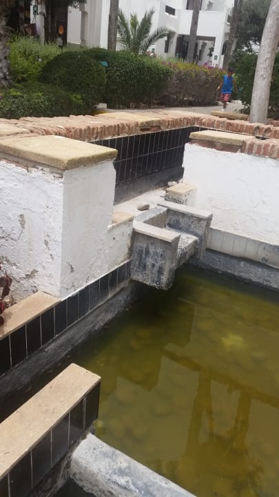 Gartenanlage Club El Pueblo Tamlelt