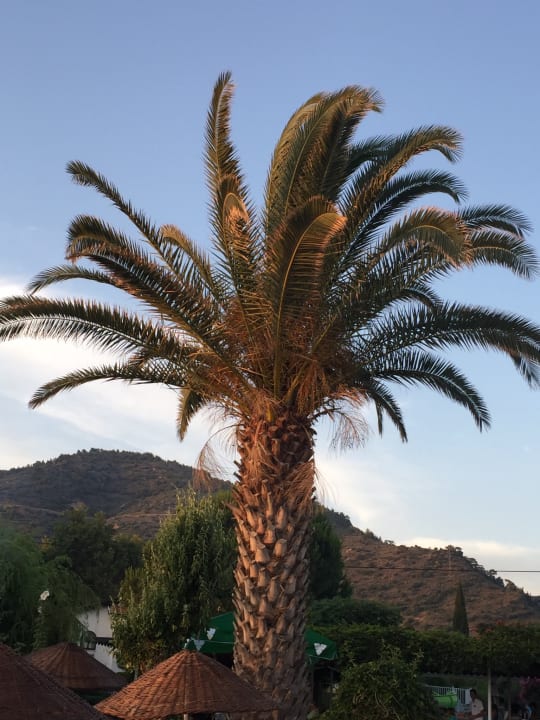 Ausblick Dogan Paradise Beach