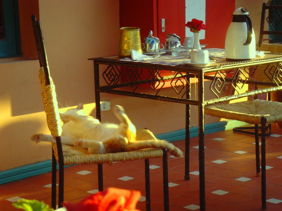 Restaurantterrasse Giftun Azur Resort