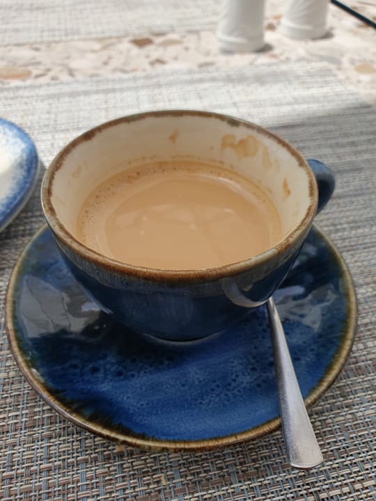 Gastro PALOMA Perissia