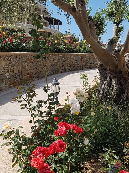 Gartenanlage Lindos Imperial Resort & Spa