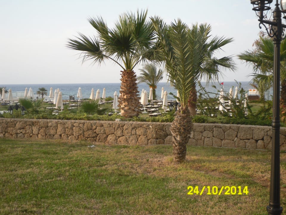 Gartenanlage Acapulco Beach Club & Resort