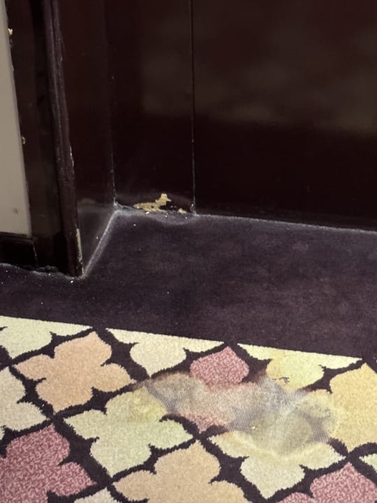 Zimmer Grecotel LUXME Dama Dama