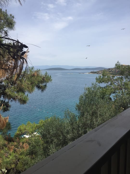 Aussicht vom Balkon Sarpedor Boutique Hotel