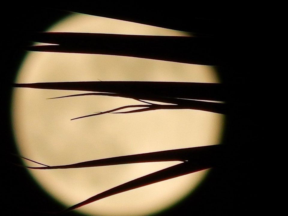 View Hotel El Faraana Reef Resort