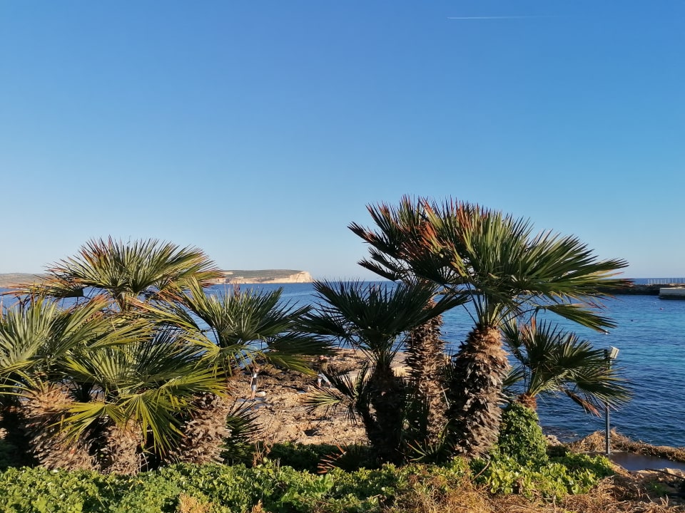 Strand Riviera Spa Resort - Adults Only