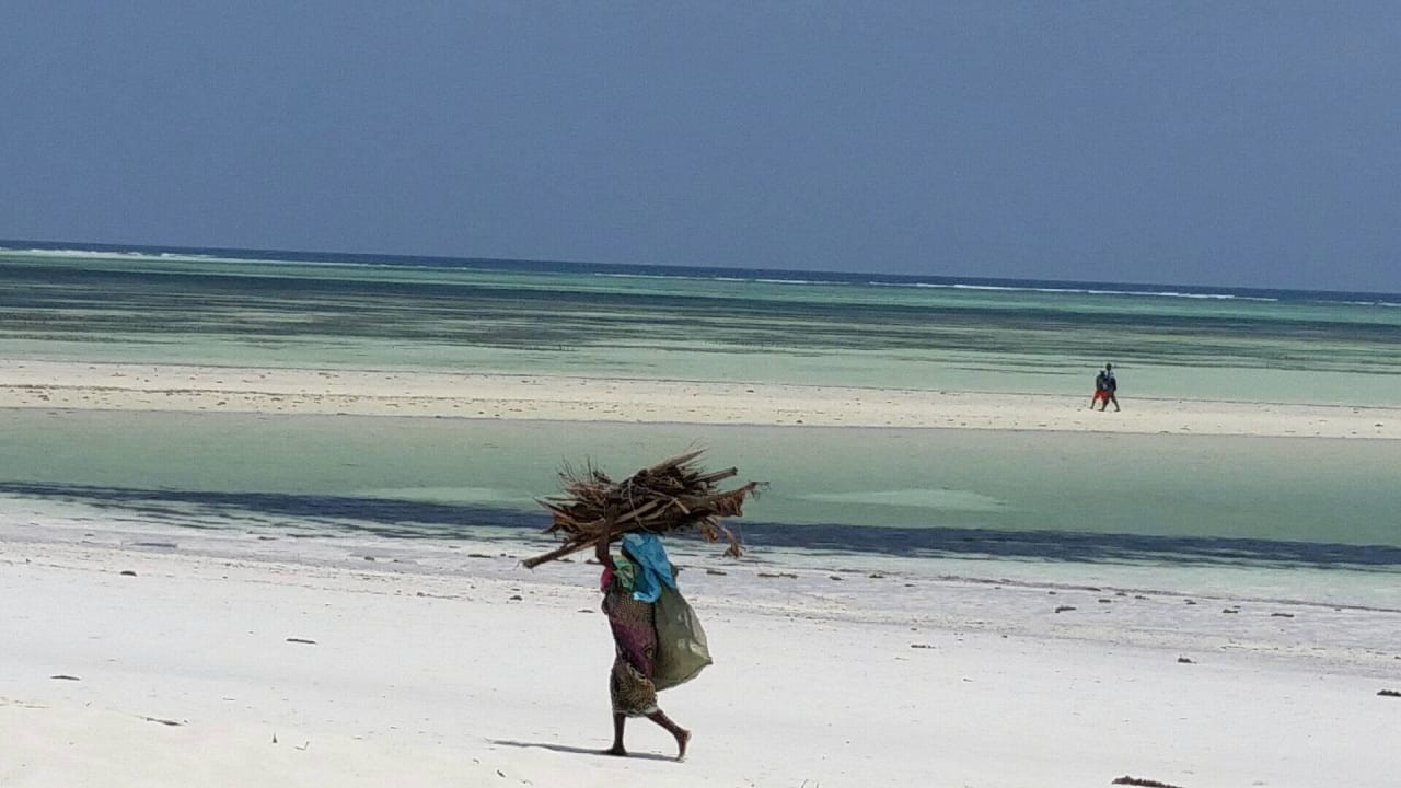 Holzsammler Neptune Pwani Beach Resort & Spa