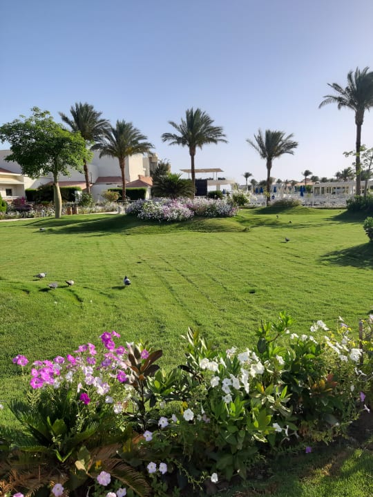 Gartenanlage Pickalbatros Dana Beach Resort - Hurghada