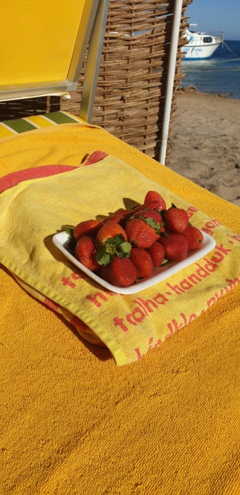 Strand Sentido Caribbean World Soma Bay