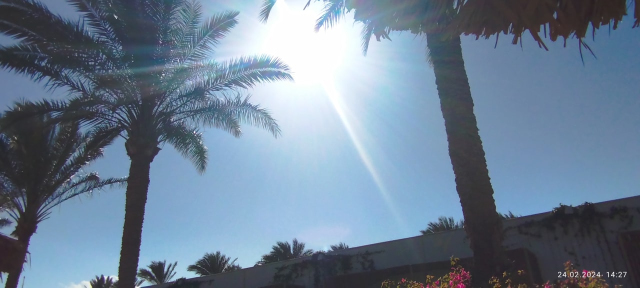 Ausblick Desert Rose