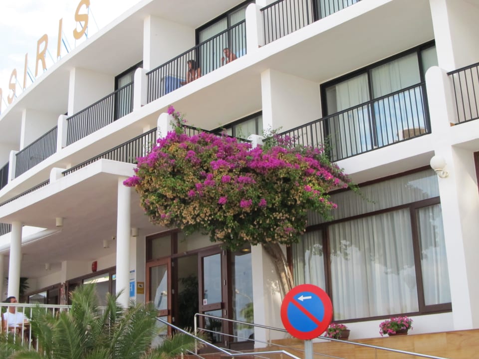 Eingang Hotel Osiris